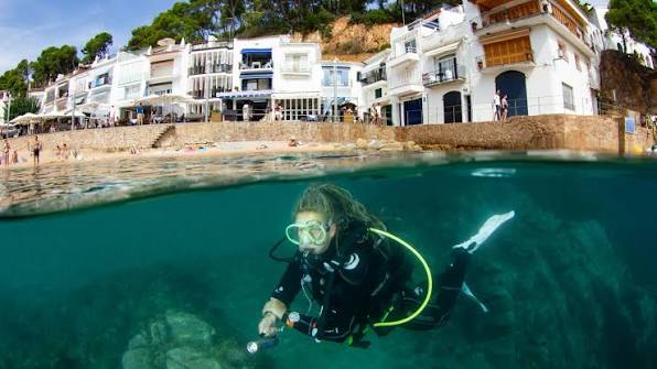 Photo of Stolli's Dive Base