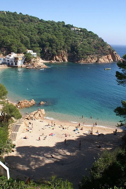 Local beach